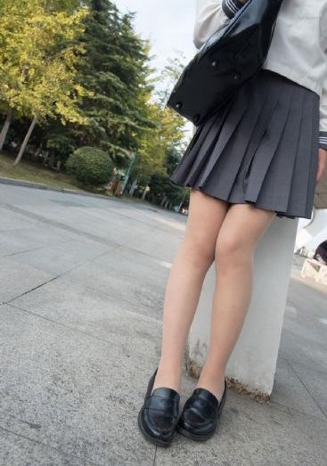 血战丛林免费观看完整版电视剧