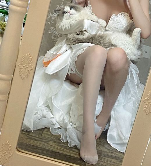 小姐姐在线